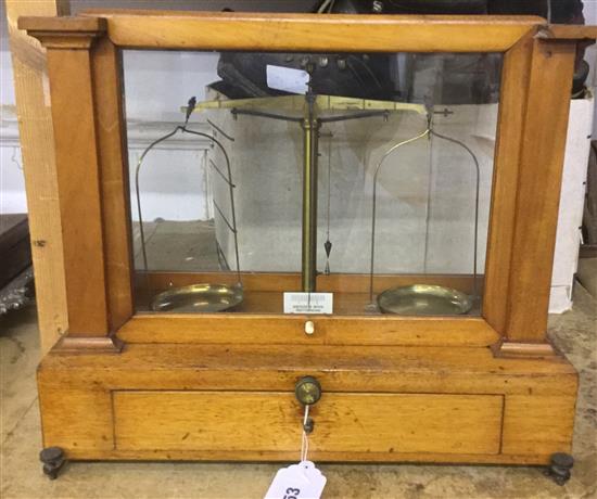 Cased chemist scales with weights